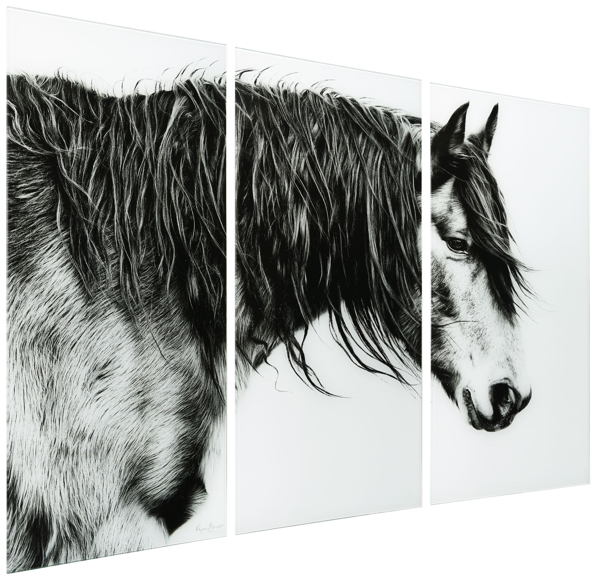 Image 2 B&W Horse ABC Frameless Reverse Printed Tempered Glass Wall Art Set of  more views