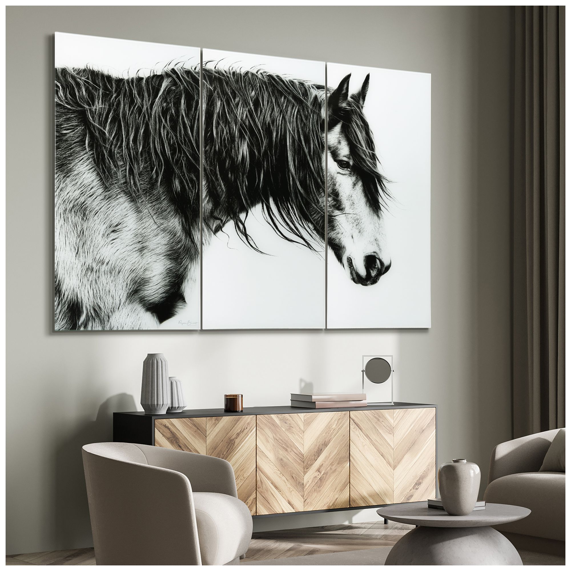 Image 3 B&W Horse ABC Frameless Reverse Printed Tempered Glass Wall Art Set of  more views