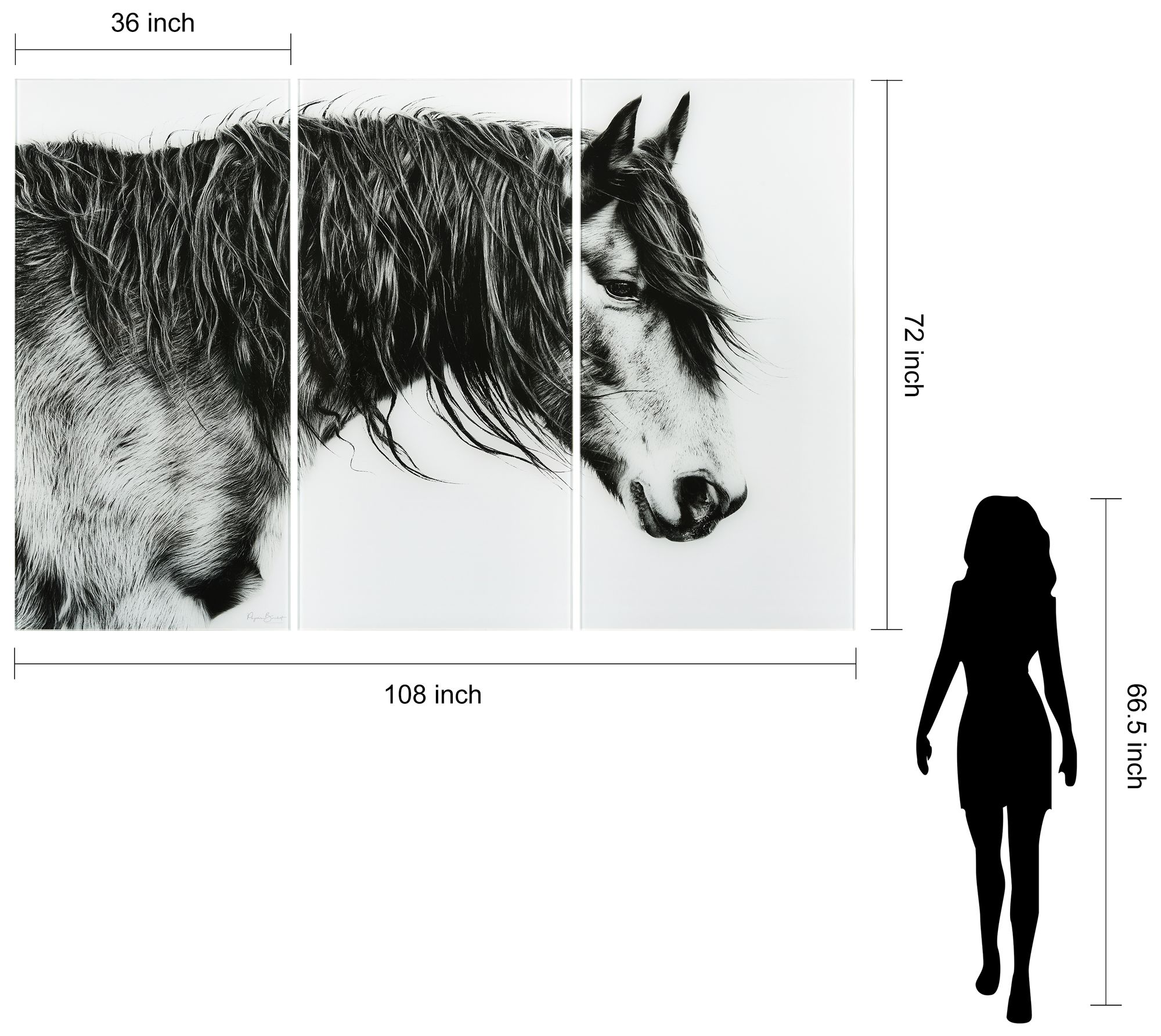 B&amp;W Horse ABC Frameless Reverse Printed Tempered Glass Wall Art Set of 