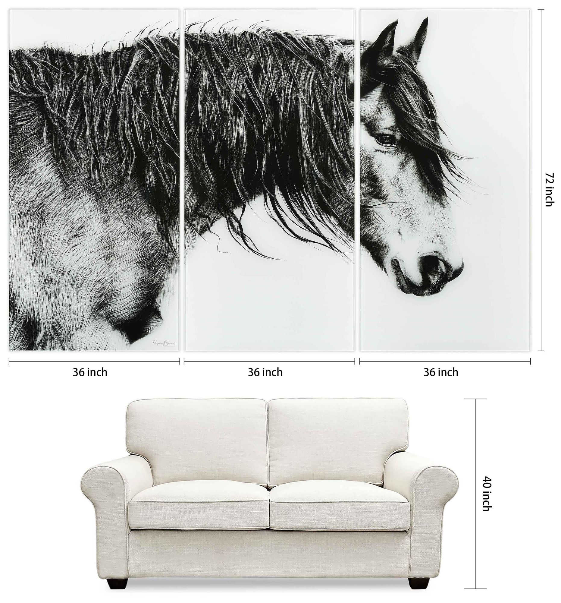 B&amp;W Horse ABC Frameless Reverse Printed Tempered Glass Wall Art Set of 