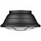 Barlett 16 1/4" Wide Natural Black UV Outdoor Flushmount Ceiling Light