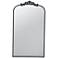 Baroque Inspired 24" x 41 3/4" Black Arched Wall Mirror