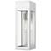 Barrett 1 Light Painted Satin Nickel Outdoor Wall Lantern