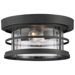 Barrett 13" Wide Black 2-Light Outdoor Ceiling Light