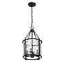 5_Barrington 12" Wide Matte Black 4-Light Mini Pendant more views