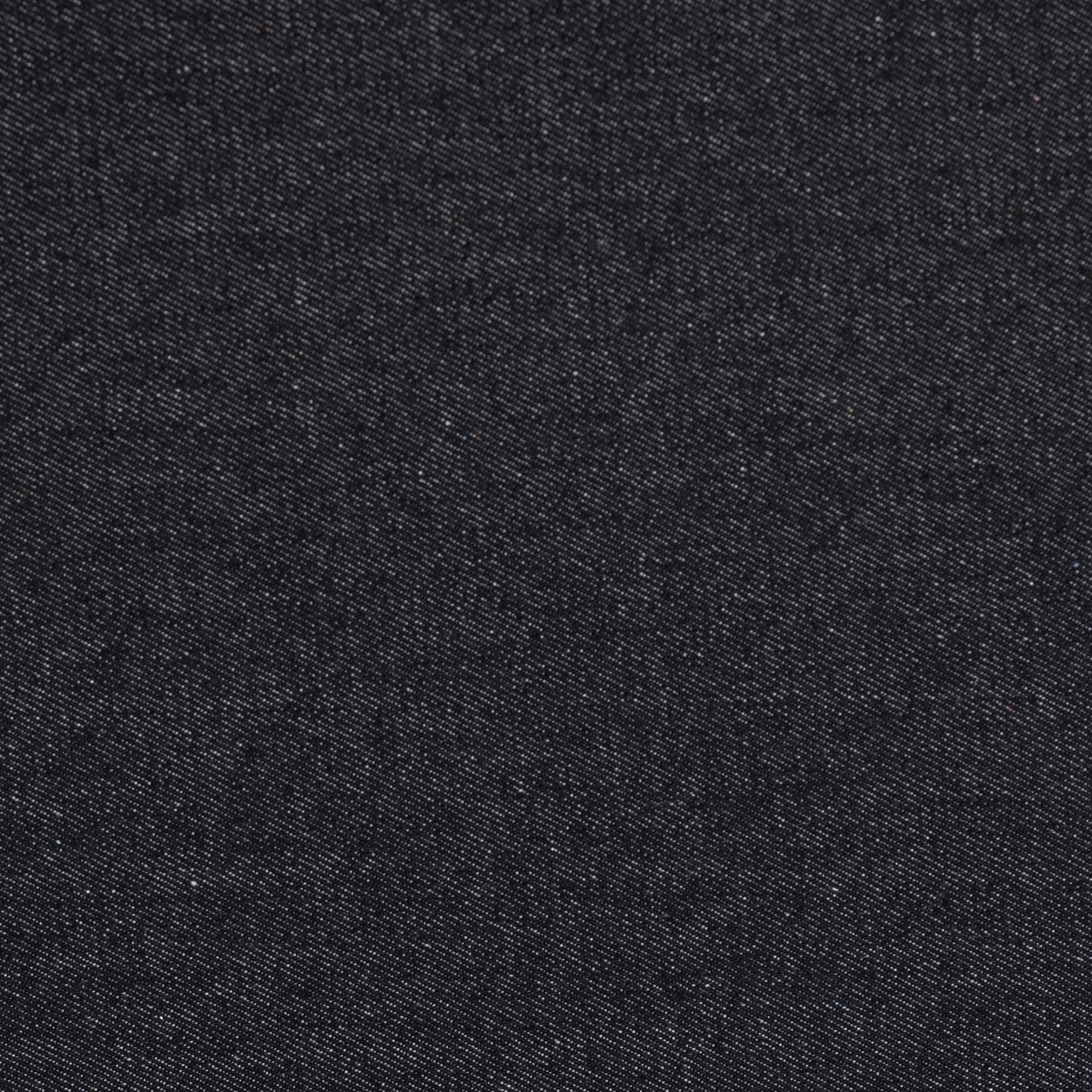 Baxton Studio Agatha Vintage Black Canvas 2-Drawer Storage Trunk