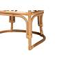 4_Baxton Studio Aster Natural Brown Rattan Accent Armchair more views