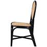 Baxton Studio Ayana Natural Brown Black Rattan Dining Chair