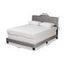 Baxton Studio Benjen Grey Velvet Fabric Upholstered Queen Size Panel Bed in scene