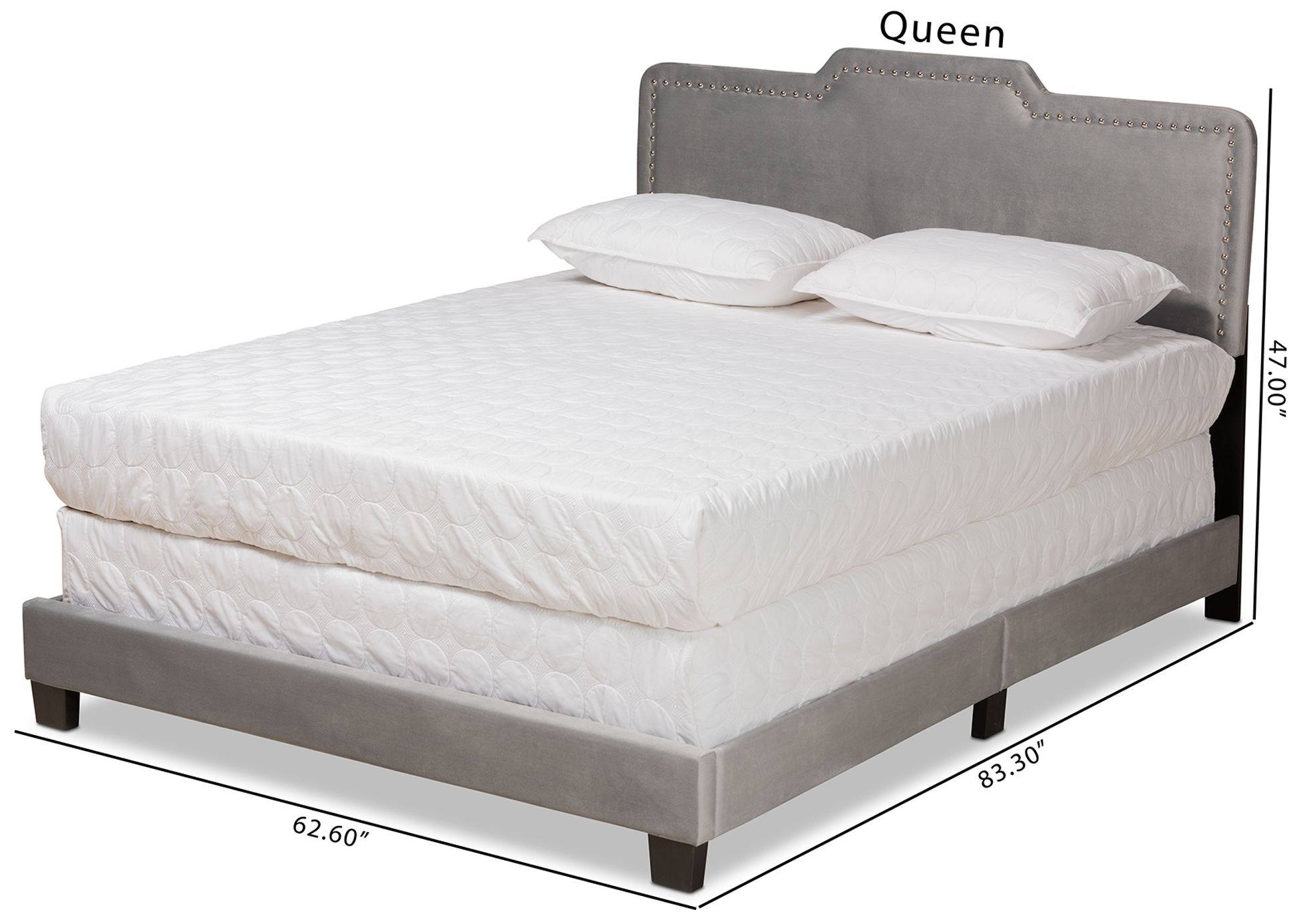 Baxton Studio Benjen Grey Velvet Fabric Upholstered Queen Size Panel Bed in scene