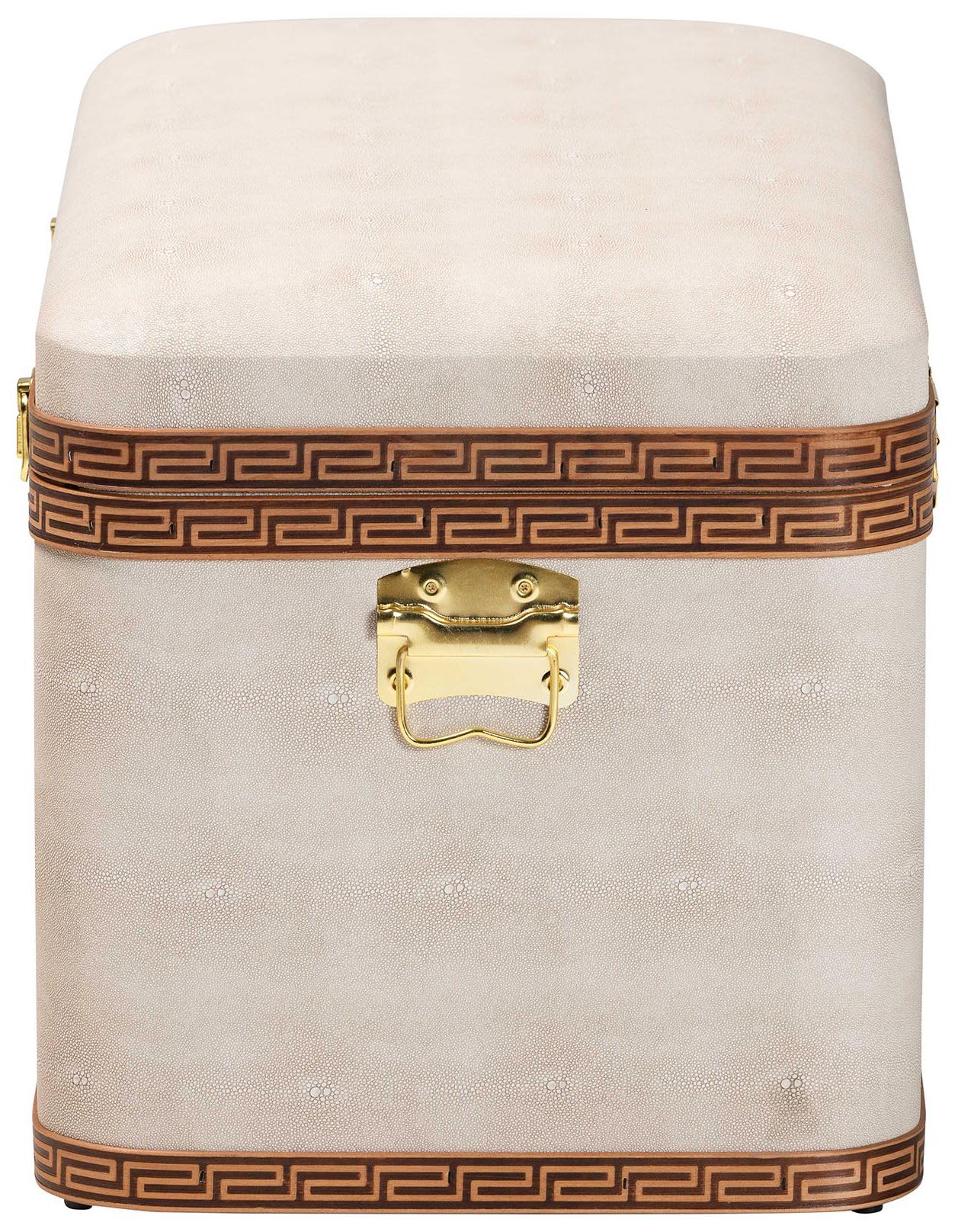 Baxton Studio Brenner Modern Transitional Beige Faux Shagreen Storage Trunk
