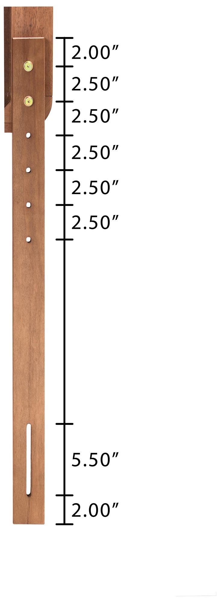 Baxton Studio Leola Walnut Brown Twin Size Platform Bed in scene