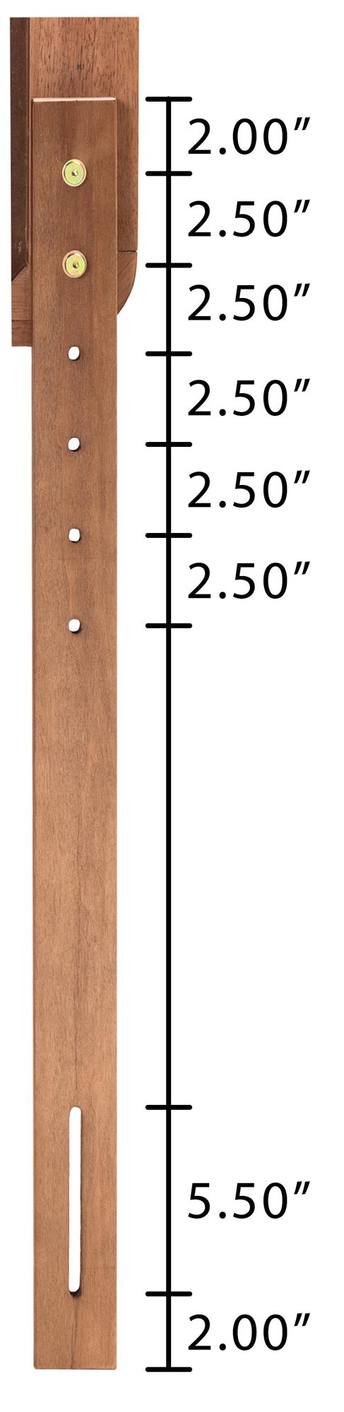 Baxton Studio Michi Walnut Brown Twin Size Platform Bed in scene