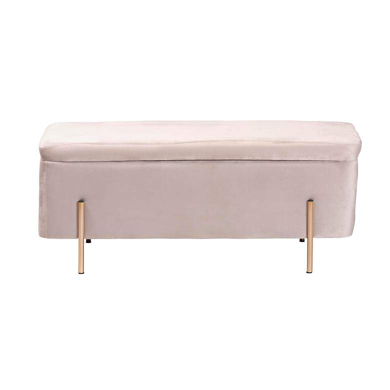 Image 6 Baxton Studio Rockwell Gray Velvet Storage Bench more views