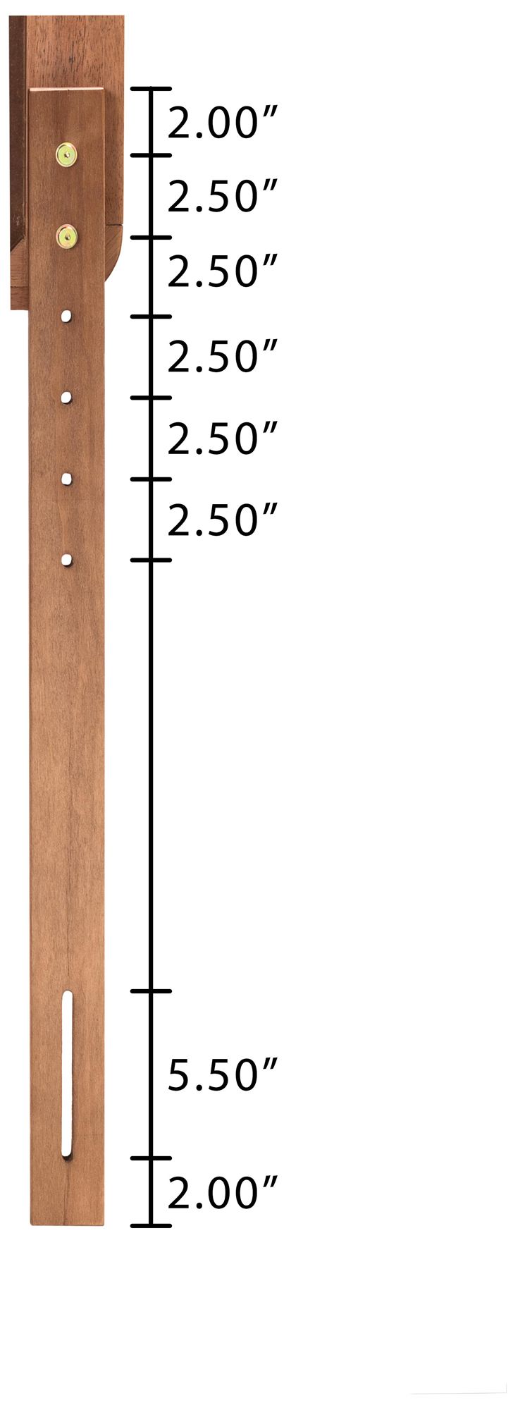 Baxton Studio Ryo Walnut Brown Twin Size Platform Bed in scene