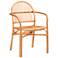Baxton Studio Tugera Natural Brown Dining Chair