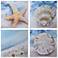 Beach - Set of 4 Coastal Animal Art