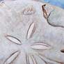 7_Beach - Set of 4 Coastal Animal Art more views