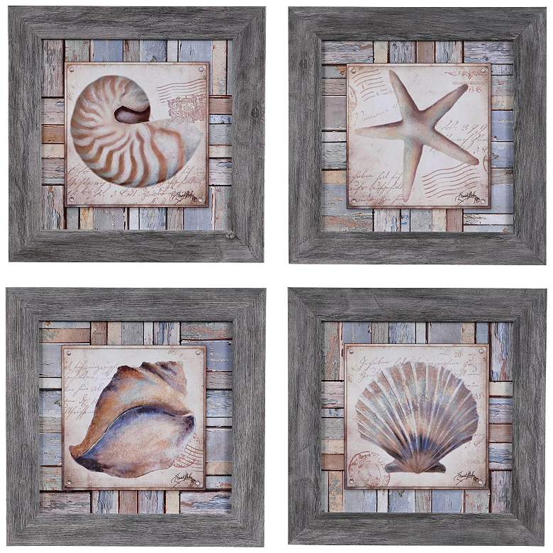 Image 1 Beach Shell I, II, III and IV 16 inch Square Wall Art Set of 4
