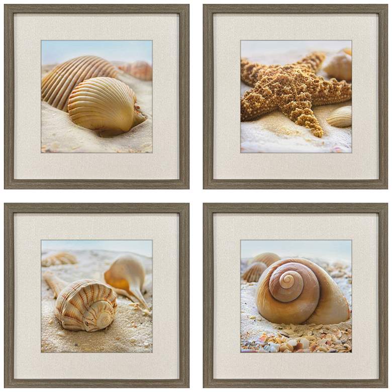 Image 1 Beachy Shells 20"W x 20"H Coastal Framed Art Set of 4