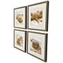 2_Beachy Shells 20"W x 20"H Coastal Framed Art Set of 4 more views