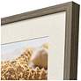 3_Beachy Shells 20"W x 20"H Coastal Framed Art Set of 4 more views