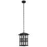 Beacon Square 18" 1-Light Outdoor Hanging Light in Textured Black