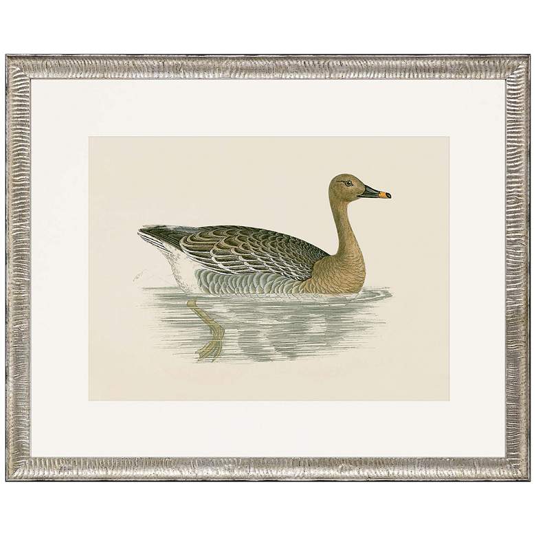 Image 1 Bean Goose 32 inch Wide Rectangular Giclee Framed Wall Art