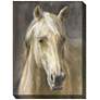 2_Beauty 40" High Rectangular Outdoor Canvas Wall Art