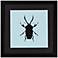 Beetle 18" Square Framed Silhouette Wall Art