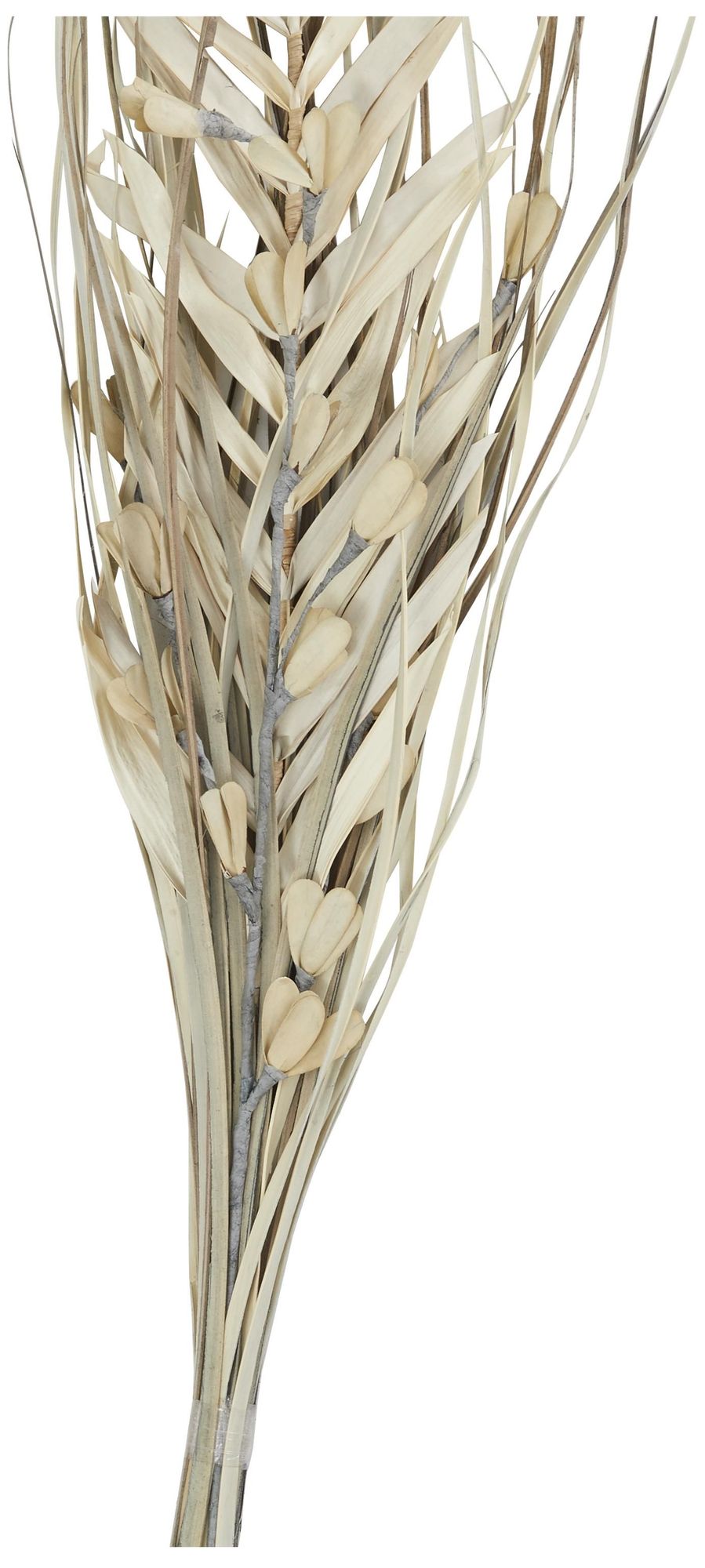 Image 2 Beige Dried Plant Modern Natural Foliage, 10" x 2" x 40" more views