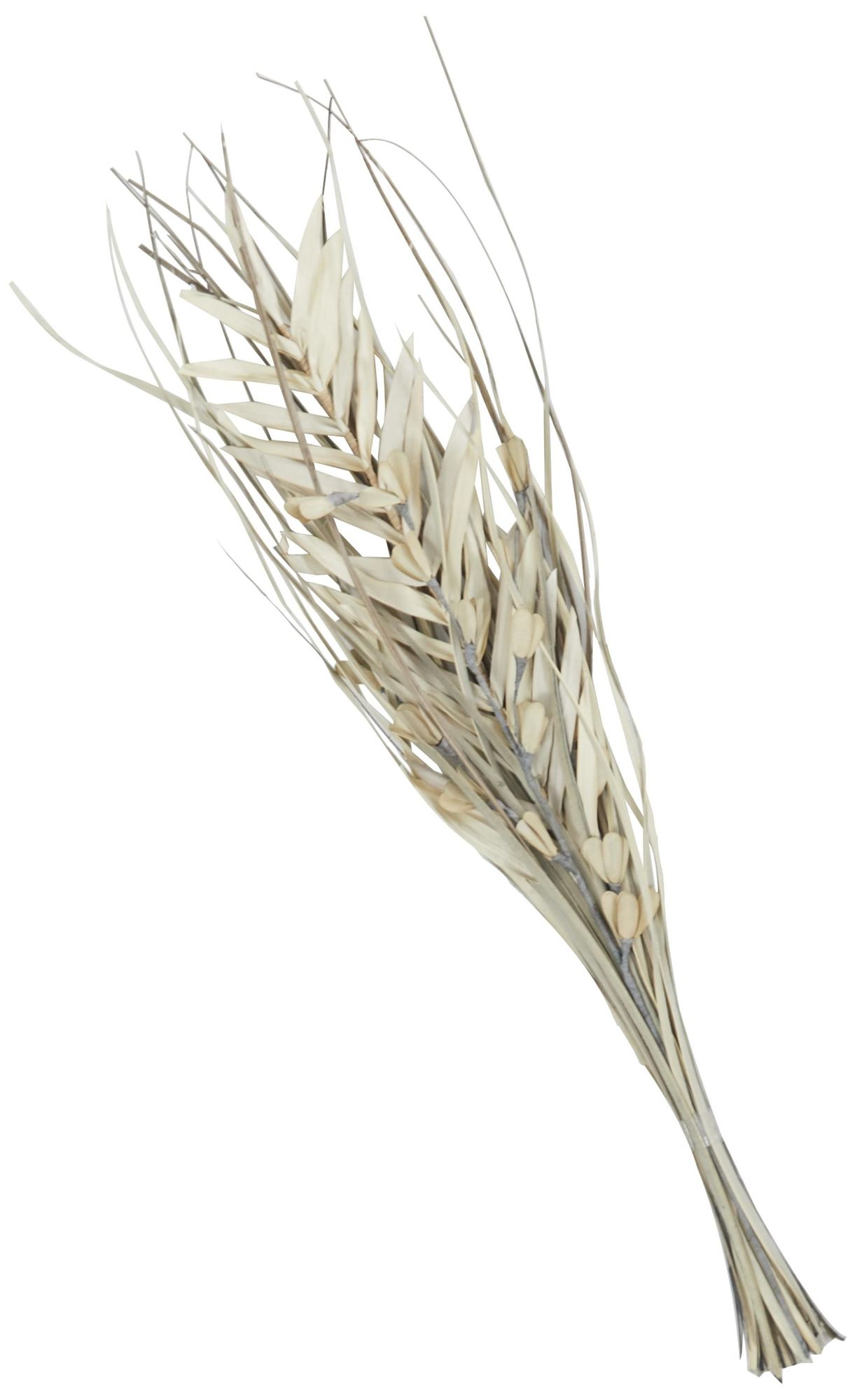 Image 5 Beige Dried Plant Modern Natural Foliage, 10" x 2" x 40" more views