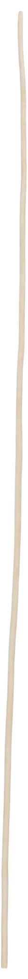 Image 6 Beige Jute Rope Traditional Natural Foliage, S/20 4"W, 79"H more views