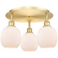 Innovations Lighting Belfast Gold Collection