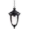 Bellagio 18" High Texturized Black Traditional Outdoor Hanging Light