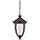 Bellagio™ 18" High LED Veranda Bronze Outdoor Hanging Light