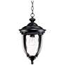 Bellagio 18" High Texturized Black Traditional Outdoor Hanging Light in scene