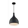 2_Bellcap 12" Wide Matte Black Mini Pendant more views