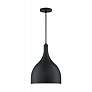 4_Bellcap 12" Wide Matte Black Mini Pendant more views