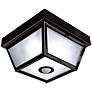 Benson Black 9 1/2" Wide Motion Sensor Outdoor Ceiling Light