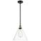 Berkshire 12" Mini Pendant - Black Antique Brass - Clear Shade