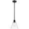 Berkshire 8" Matte Black Mini Pendant w/ Clear Shade