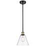 Berkshire 8" Mini Pendant - Black Antique Brass - Clear Shade