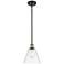 Berkshire 8" Mini Pendant - Black Antique Brass - Clear Shade