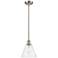 Berkshire 8" LED Mini Pendant - Brushed Satin Nickel - Seedy Shade