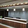2_Besa Pahu 12" Wide Clear/Opal/Satin Nickel 1-Light Pendant more views