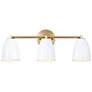 1_Biba 24 in. 3-Light Brushed Gold Modern Vanity Light with Metal Shade