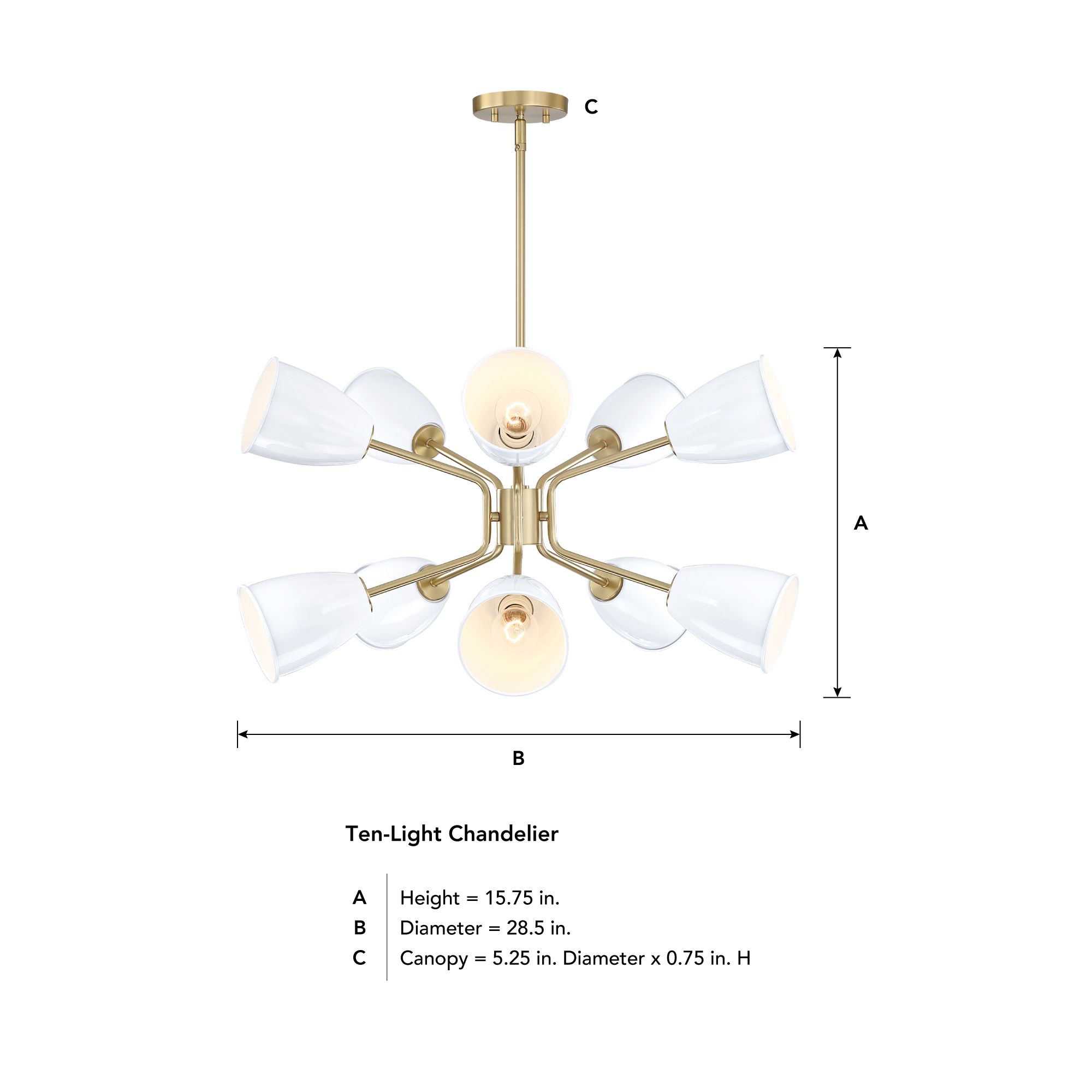 Biba 28.5 in. 10-Light Brushed Gold Modern Chandelier with Metal Shades