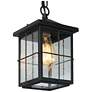 1_Bioeasdera 11 1/2" High Frosted Black Outdoor Hanging Light