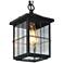 Bioeasdera 11 1/2" High Frosted Black Outdoor Hanging Light